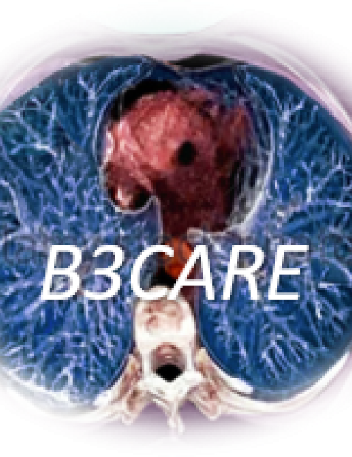 B3CARE